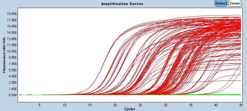 Example curves for a run showing fluorescence versus cycle number.