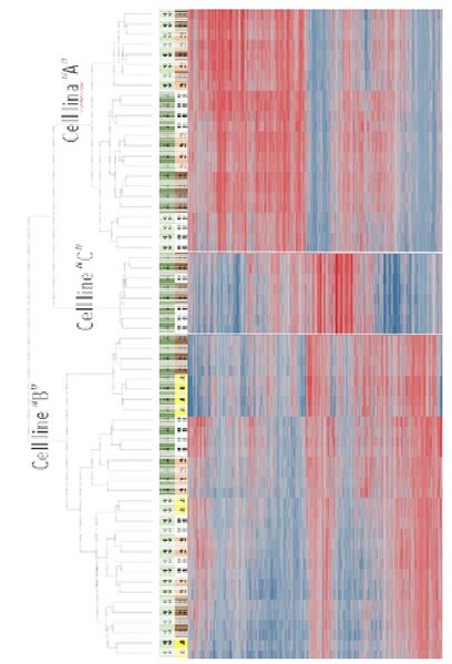 File:HT3DGE gene example.jpg