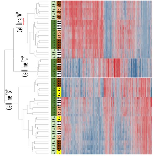 File:HT3DGE gene example.jpg