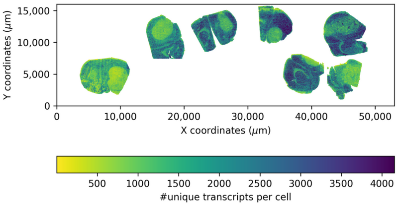 File:StrataSlide.png
