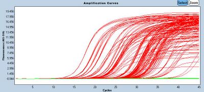 Example curves for a run showing fluorescence versus cycle number.