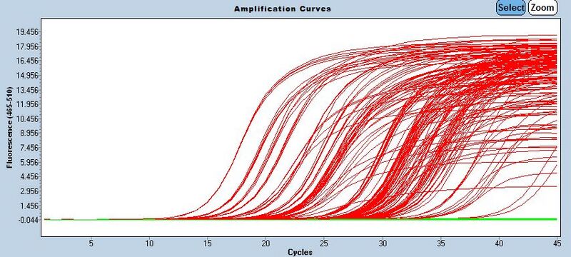 File:LC480curves.jpg